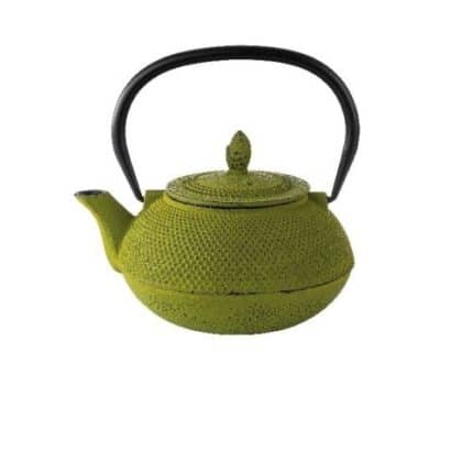 TEA POT GREEN ENEMELLED CAST IRON  17X14CM PADERNO