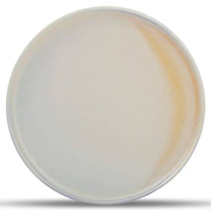 PLATE 28.5CM LAVENDER VOLTA F2D