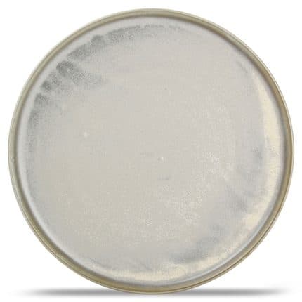 USKO PLATE 28.5CM GREEN F2D