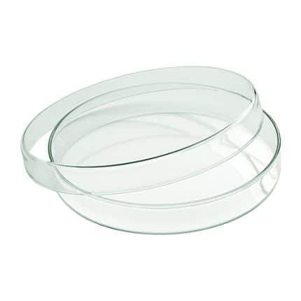 GLASS BOWL WITH LID 18CM PLAYGROUND