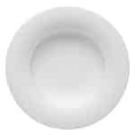 BY ORDER AVANTI GUSTO PORCELAIN DEEP PLATE WITH RIM 26CM SCHONWALD GERMANY