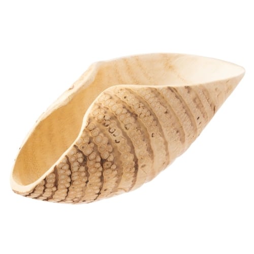 ETH-PAD-49657-33.jpg NATURAL WOODEN SUSHI CONTAINER APPROXIMATELY SIZE 32X12X10 - Image 1