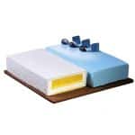 BY ORDER - SEMIFREDDO BAKING DOUBLE FORM 2PCS 22X4CM MARTELLATO