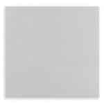 NAPKIN OXFORD LIGHT GREY 40X40/20X20CM 50PCS BIT ITALY