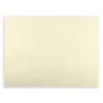 PLACEMAT OXFORD CHAMPAGNE 40X30CM 250PCS BIT ITALY